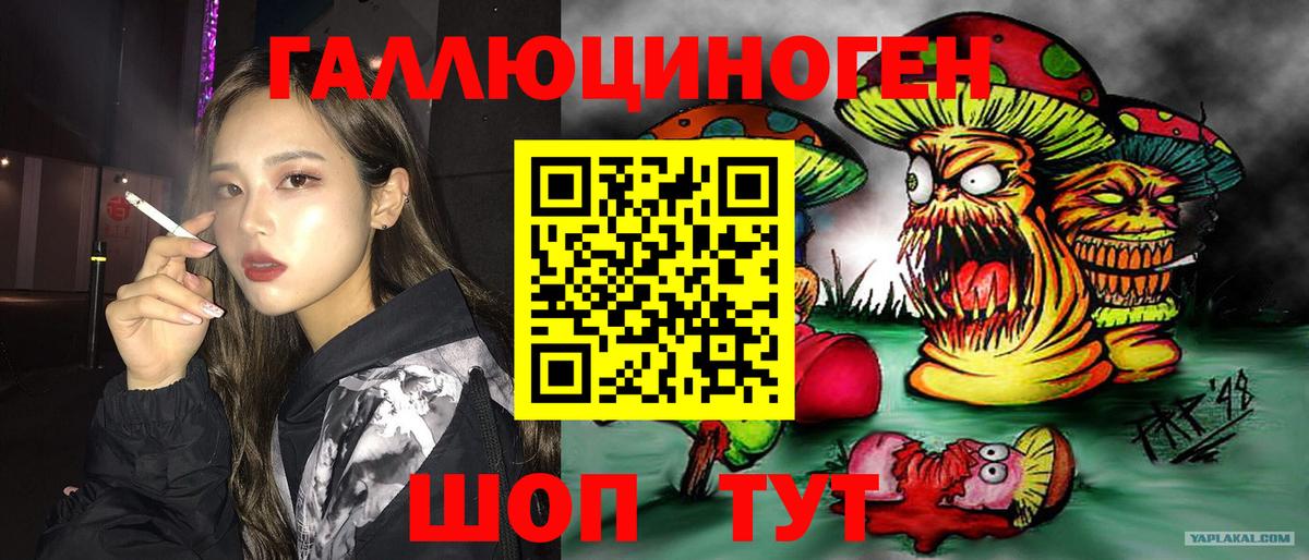 Галлюциногенные грибы Psilocybine cubensis  Вход с VPN  Саяногорск 